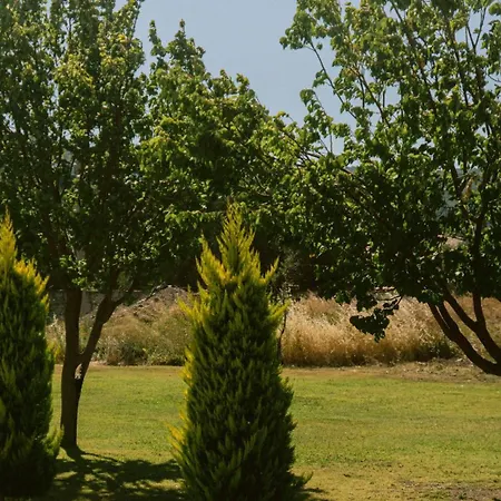 Vela Garden Alacati