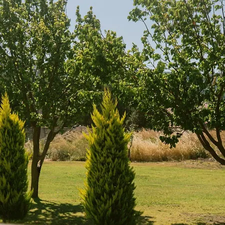 Vela Garden * Alacati