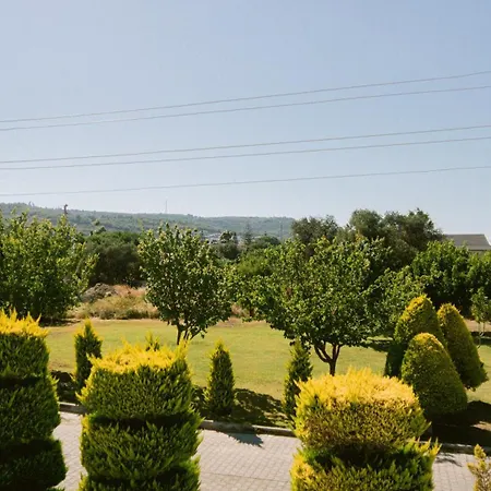 Vela Garden *